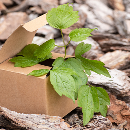 Packages For Carrying Natural Products