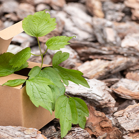 5 Ways to Inform Your Customers About Your Eco-Friendly Packaging