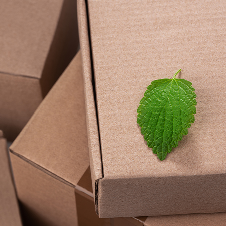 Environmentally Friendly Box Packaging: An Investment in Your Company