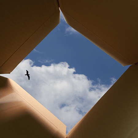 Innovative Box Packaging Designs to Stand Out in the Market 