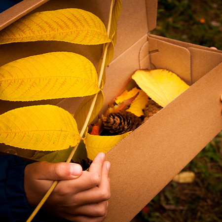 Apply Autumn's Trend Colors to Your Boxes and Packages