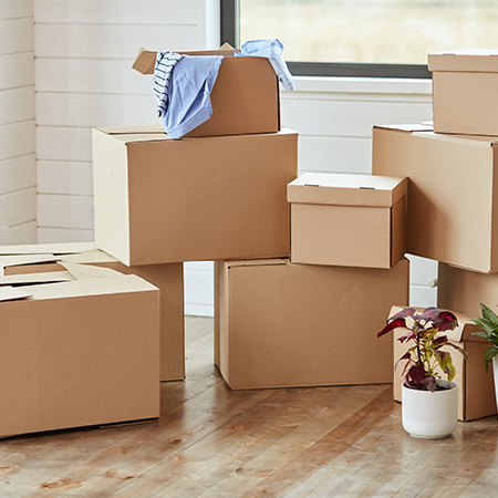 Strengths of Boxes: Durability, Functionality, and Aesthetics