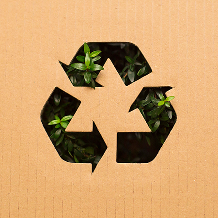 ECO-FRIENDLY PACKAGING ALTERNATIVE