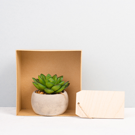 Creative Reuse of Boxes