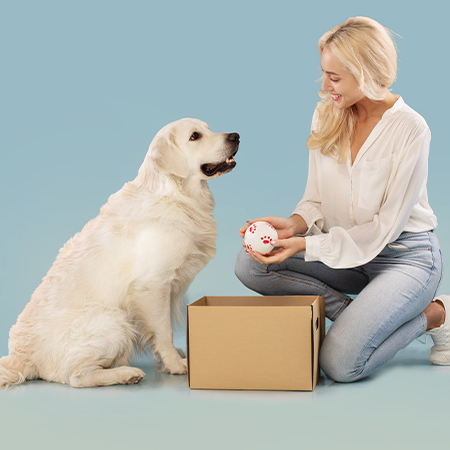 Ideal Box Designs for Toy Companies