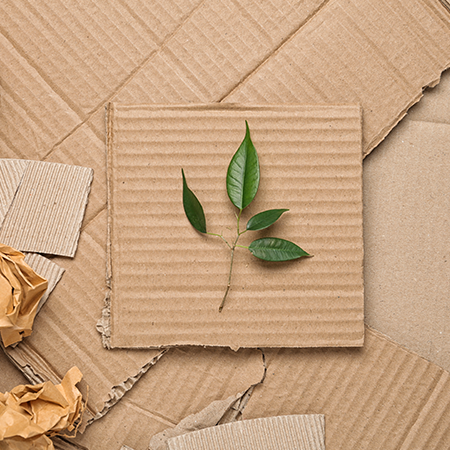 Sustainable Trends of 2022