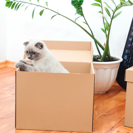 How Can You Recycle Your Boxes and Packages?