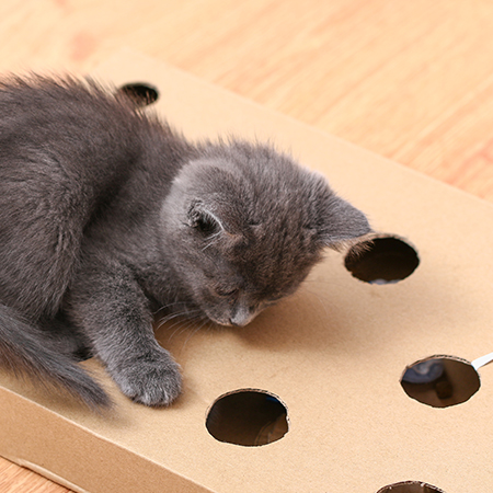 How Can You Recycle Your Boxes and Packages?