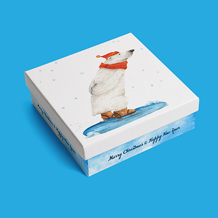 BOX ALTERNATIVES THAT YOU CAN PREFER FOR CHRISTMAS GIFTS