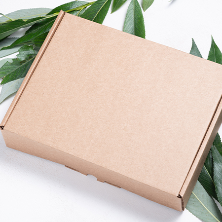 Why Do People Prefer Using Kraft Boxes?