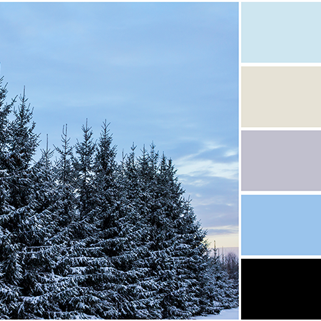 Winter Colors in Box Designs