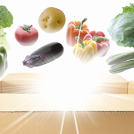 Guidelines for the Food Industry's Packaging