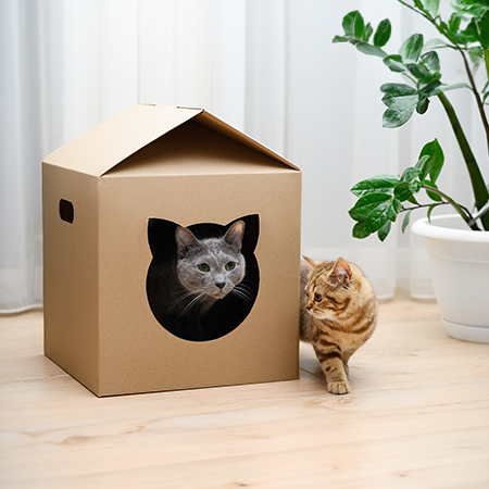 Don’t Throw Away Your Cardboard Boxes, Recycle Them Instead