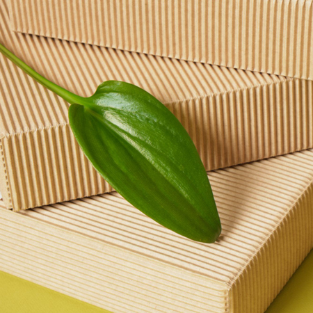 Lost in Certifications: What Do Green Labels Actually Mean?