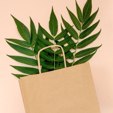 The ABC of Sustainable Packaging: A Comprehensive Guide for 2026