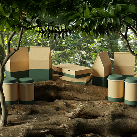 Green Image in Consumer Perception: Strengthening Sustainability Messages Through Packaging