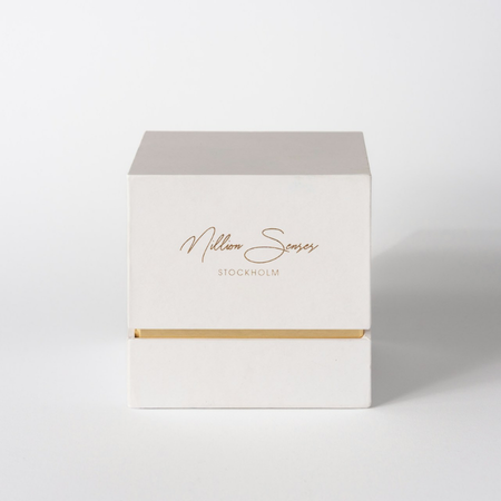 Brand Memory: How Does Packaging Design Influence Long-Term Recall?