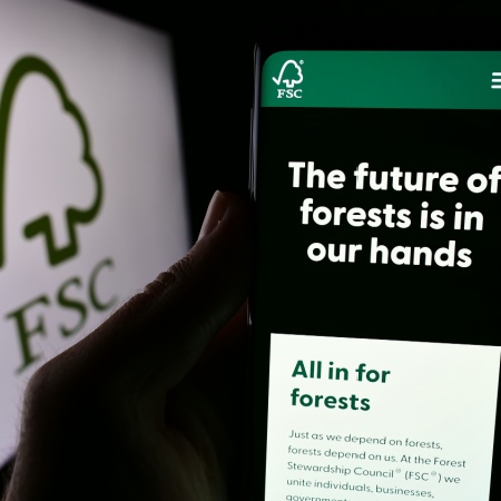 FSC Sertifikalı Ambalaj Marka Güvenilirliği ve Sürdürülebilirlik Çabalarını Nasıl Geliştirir?