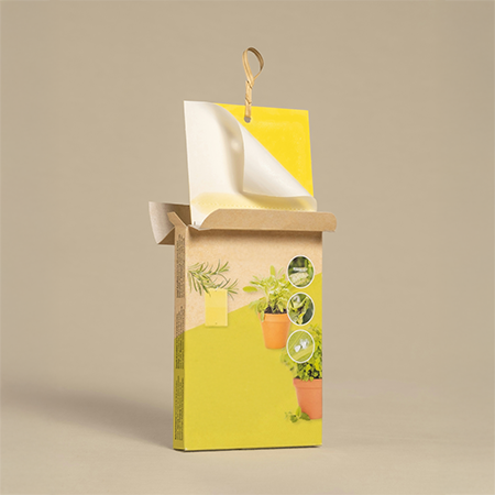 How to Design Limited Edition Packaging for Summer Collections?