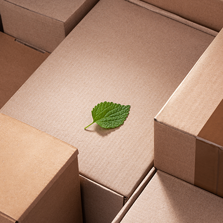 Changes in the Packaging Production Sector