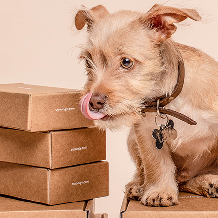 Understanding the Die Cutting Process in Custom Packaging