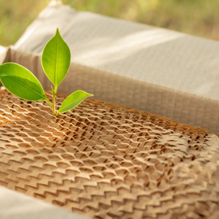 Material Selection in Eco-Friendly Packaging: The Right Criteria