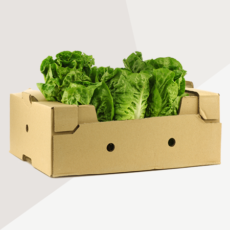 Fruit - Vegetable Box