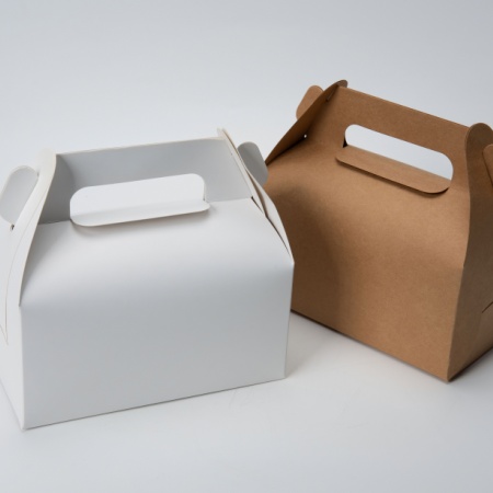 What Is a Bag Box, and Which Industries Use It More Commonly?